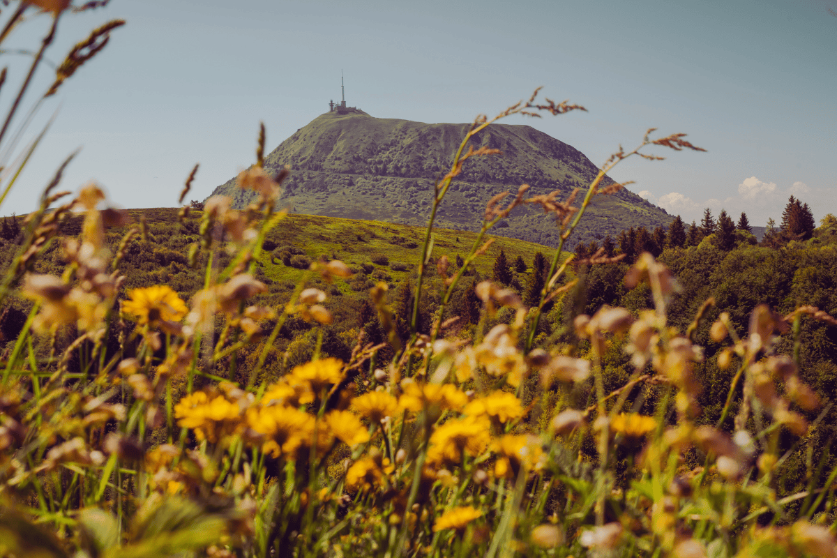 Le guide des démarches administratives photovoltaïque à Clermont-Ferrand Auvergne